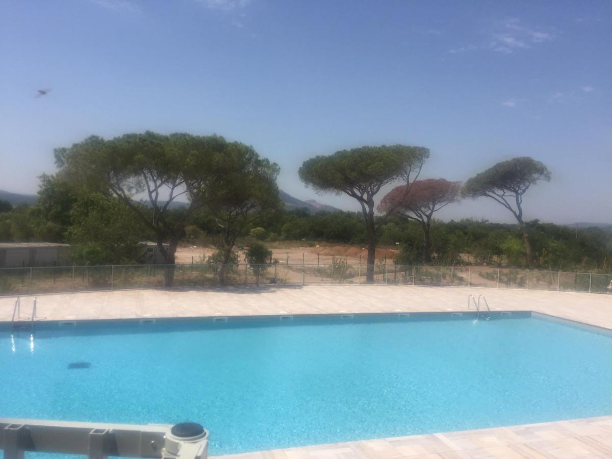 Appartement neuf moderne avec piscine Puget-sur Argens Extérieur photo